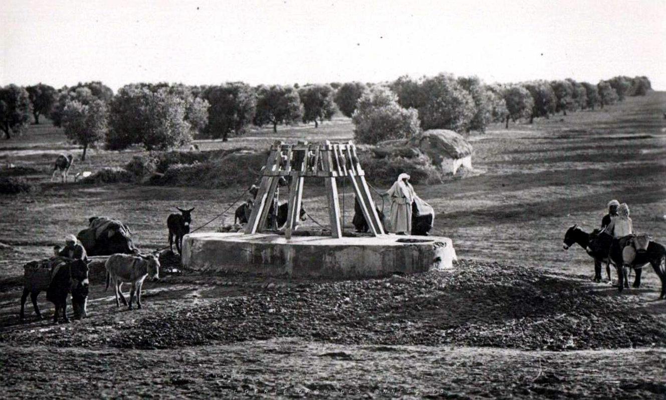 Puits typiques d'AFN - 095.jpg